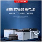 理士蓄电池DL1265W/12V65AH(含拆卸安装及电池连接线缆)